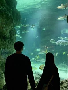 two people standing in front of an aquarium looking at fish