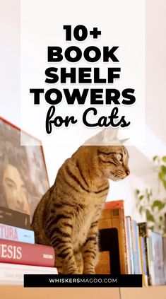 a cat sitting on top of a bookshelf with the words, 10 book shelf towers for cats