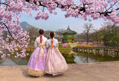 two women in long dresses are standing under cherry blossom trees and looking at the water