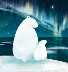 two polar bears sitting on an ice floe with the northern lights in the background