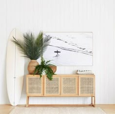 a surfboard is next to a plant on a shelf in front of a white wall