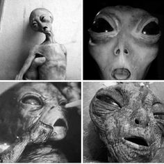 four different pictures of aliens with faces and hands, one is looking at the camera