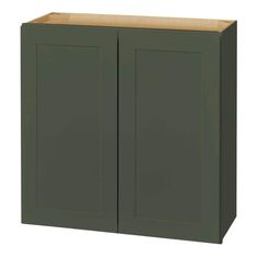 a green cabinet with two doors on the front and one door open to reveal something