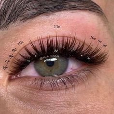 Squirrel Eyelash Extensions, Short Volume Lash Extensions, Wispy Lash Extensions, Natural Fake Eyelashes, Lashes Fake Eyelashes, Eyelash Technician, Lash Extensions Styles, Eyelash Extensions Styles, Perfect Eyelashes