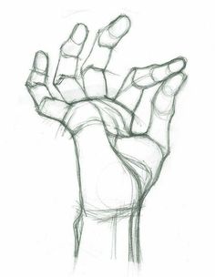 a pencil drawing of a hand holding something in it's left hand with the middle finger extended