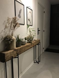 some plants are sitting on a wooden shelf in front of a white wall and black framed pictures