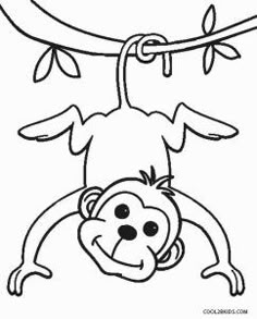 a monkey hanging from a tree branch with the letter o on it's back