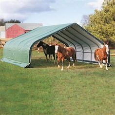 several horses are standing in the grass near a metal structure that is attached to a fence