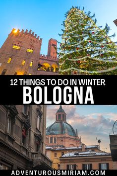 the top things to do in winter in bologna, italy