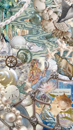 a collage of seashells, pearls and other sea creatures is featured in this image