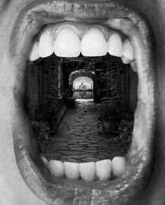 an open mouth with white teeth and cobblestone walkway leading into a tunnel in the woods