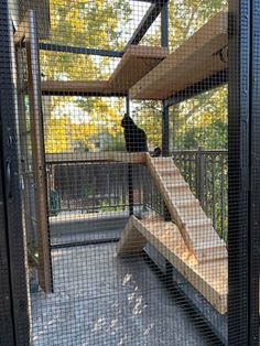 a person is climbing up the stairs in a caged area with trees behind them