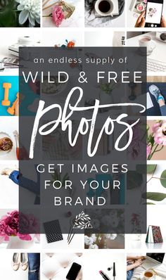 the words wild and free photos get images for your brand on top of a photo collage