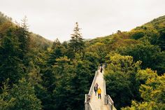 two people walking across a bridge in the middle of a forest with trees on both sides