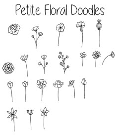 the pettic floral doodles are drawn in black and white, with flowers on each side