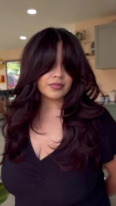 Subtle Black Cherry Hair, Dark Red Hair Blowout, Dark Cherry Red Hair Black Women, Dark Cherry Red And Black Hair, Cherry Red Under Black Hair, Red Velvet Hair Color Dark, Red Almost Black Hair, Black Cherry Hair Color With Money Piece, Chocolate Cherry Red Hair