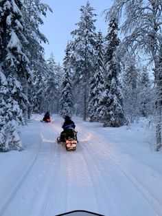 two people on snowmobiles going down a snowy road in the woods at dusk