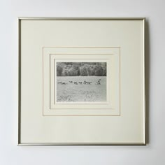 a black and white photo of cows grazing in a field with trees behind the frame