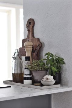 a shelf with some plants and bottles on it