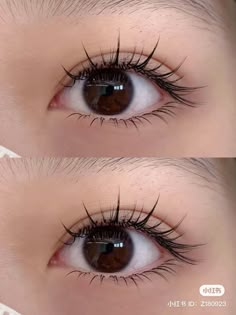 manga lashes, manhua lashes, manhua lash extensions, anime lash extensions, anime lashes, douyin lashes, chinese lashes, lash extensions, lash inspo Eyelash Claim, Manga Style Lashes, Natural Anime Lashes, Manwha Lash Extensions, Natural Anime Lash Extensions, Anime Lashes Extensions, Manhwa Lashes, Manhua Lashes, Anime Lash Extensions