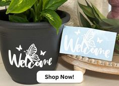 a potted plant sitting next to a sign that says welcome with butterflies on it