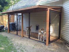 two dogs are in their kennel at the back of a house that is fenced off