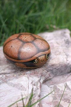 a small turtle sitting on top of a rock next to green grass and flowers in the background