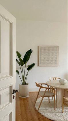 a dining room table with chairs and a potted plant in the corner next to it