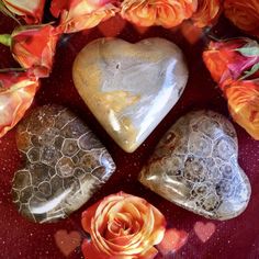 #ad | Fossilized Coral Gemstone Fertility Hearts Valentines Ideas for Earth connection and creative power. #valentines #valentinesday #gifts #giftideas #crystals #crystalsandgemstones #coral #love #hearts #heartshaped #witchy #witchythings Pagan Inspiration, Practical Magic House, Earth Connection, Rituals Products, Witchy Home Decor, Full Moon Ritual, Hearts Valentines, Rituals Set