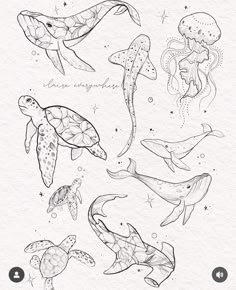 an image of sea animals in black and white