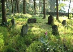 an old cemetery in the woods surrounded by tall grass and trees with flowers growing on it