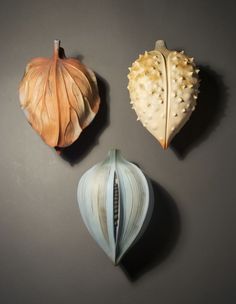 three different types of shells on a gray surface