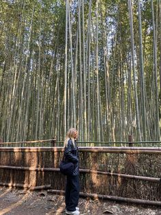 a woman standing in front of a bamboo forest with lots of tall, thin trees