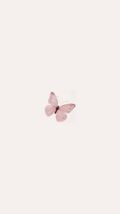 a pink butterfly flying in the sky