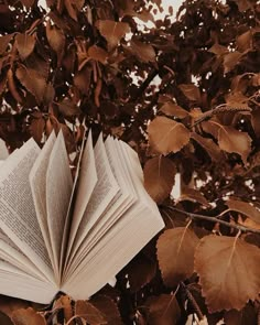 an open book sitting on top of a tree next to green leafy branches and brown leaves