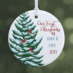 a christmas ornament hanging from a tree with snow on the branches and pine cones in the background