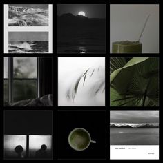 black and white images with the moon in the sky above water, palm tree leaves