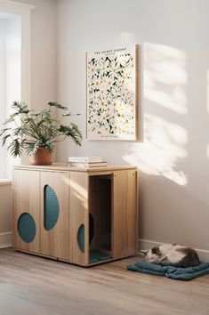 a cat laying on top of a rug next to a wooden cabinet in a room