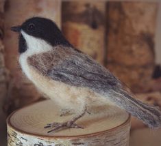 a small bird sitting on top of a piece of wood