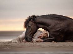 a woman laying on the ground next to a brown horse with its head under her arm