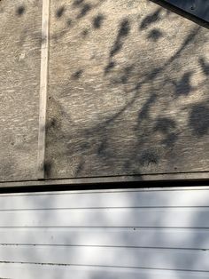 a cat sitting on top of a wooden bench next to a tree and building wall