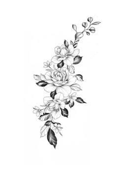 a black and white drawing of flowers with leaves on the bottom half of the image