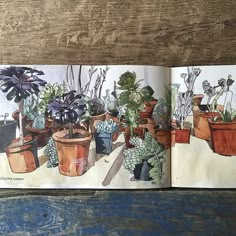 an open book with potted plants on it