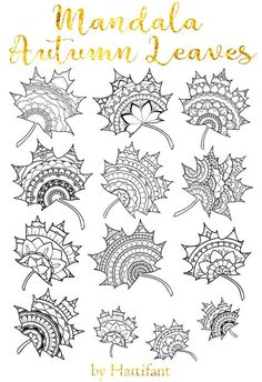 an adult coloring book with autumn leaves in gold and black on the cover, which reads