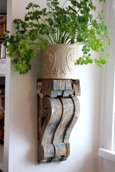 a potted plant sitting on top of a wooden shelf