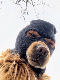 a dog wearing a knitted hat with the caption'spookie, to nie napd, to ghoonyy