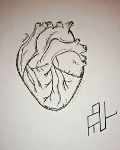 a black and white drawing of a human heart