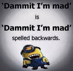 a minion with its mouth open and the words damnit'm mad