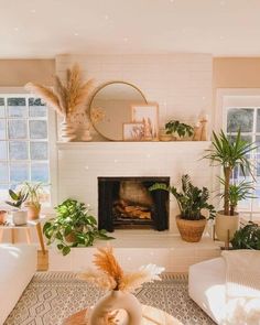 a living room filled with lots of plants next to a fire place in a fireplace