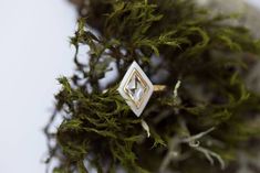 the ring is sitting on top of some moss